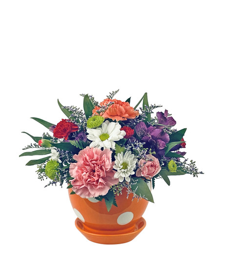 Bright and colorful flowers arranged in a polka dot pot.