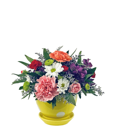 Bright and colorful flowers arranged in a polka dot pot.