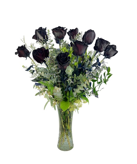 Premium Black Roses