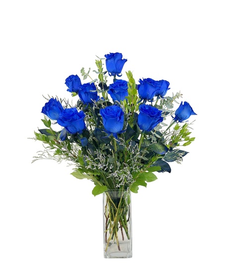 Premium Blue Roses